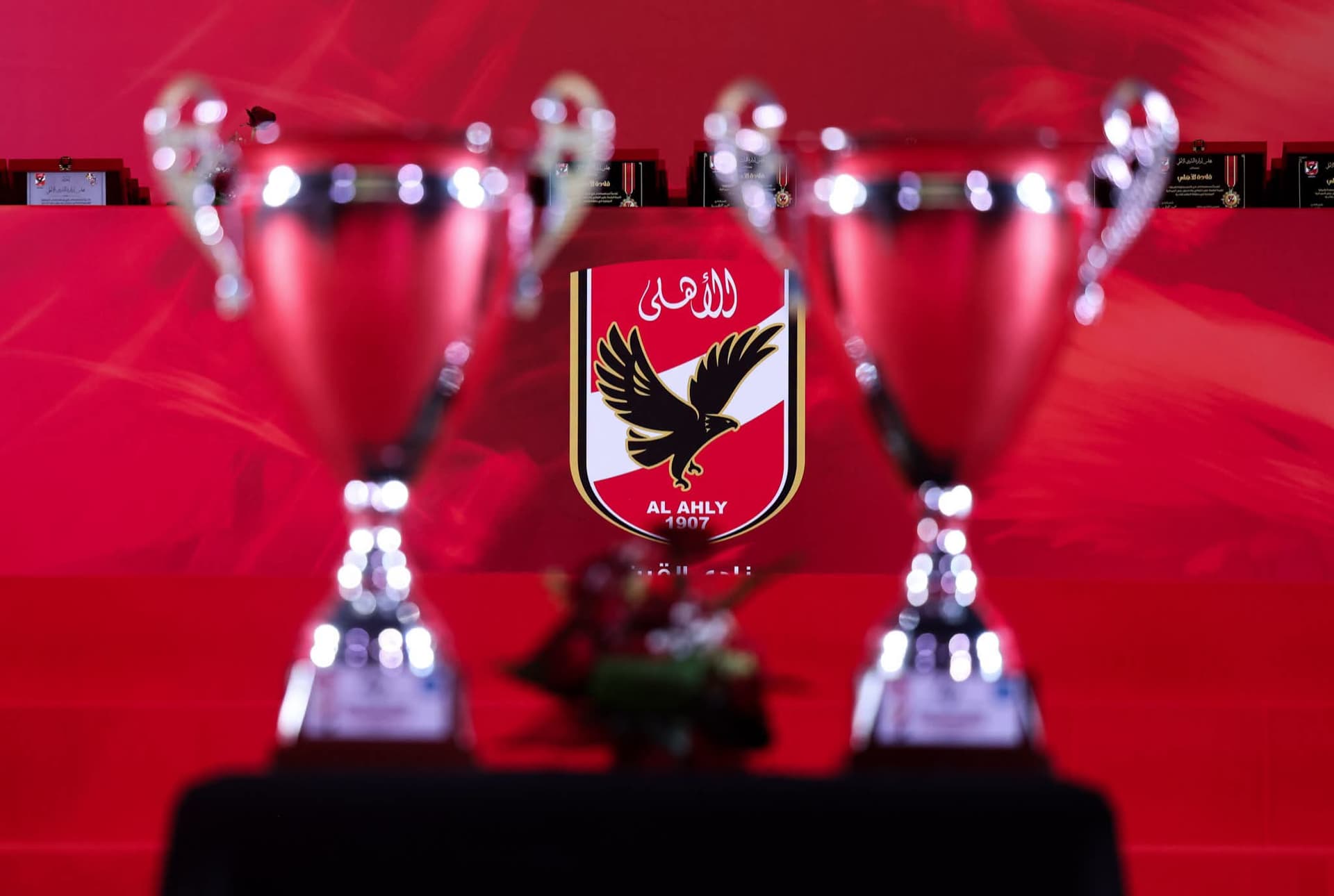 الأهلي يكرم أبطال إفريقيا لكرة اليد «رجال وسيدات»